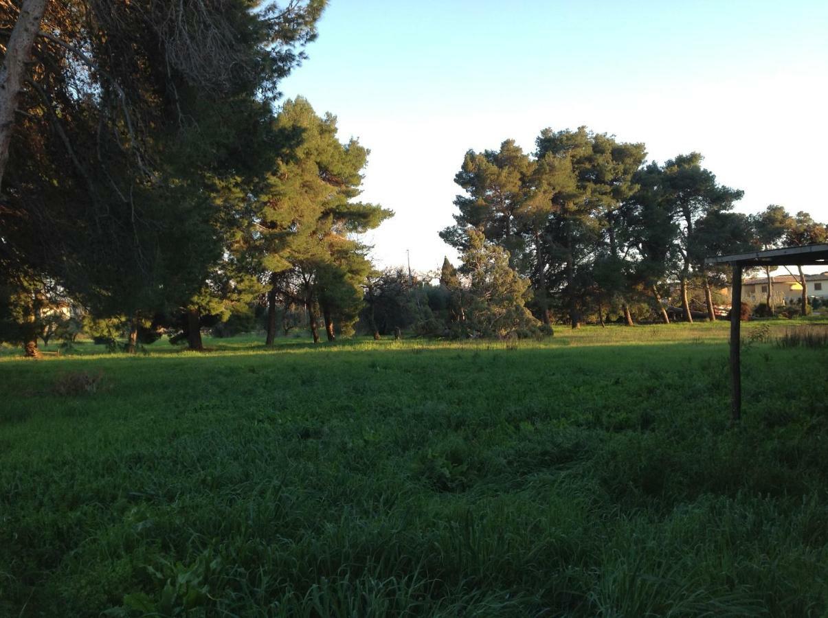 Villa Di Campagna Santa Giulia Carbonifera Bagian luar foto