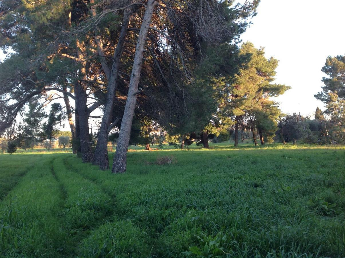 Villa Di Campagna Santa Giulia Carbonifera Bagian luar foto